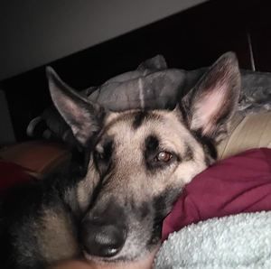 Meet your Posher, Christina